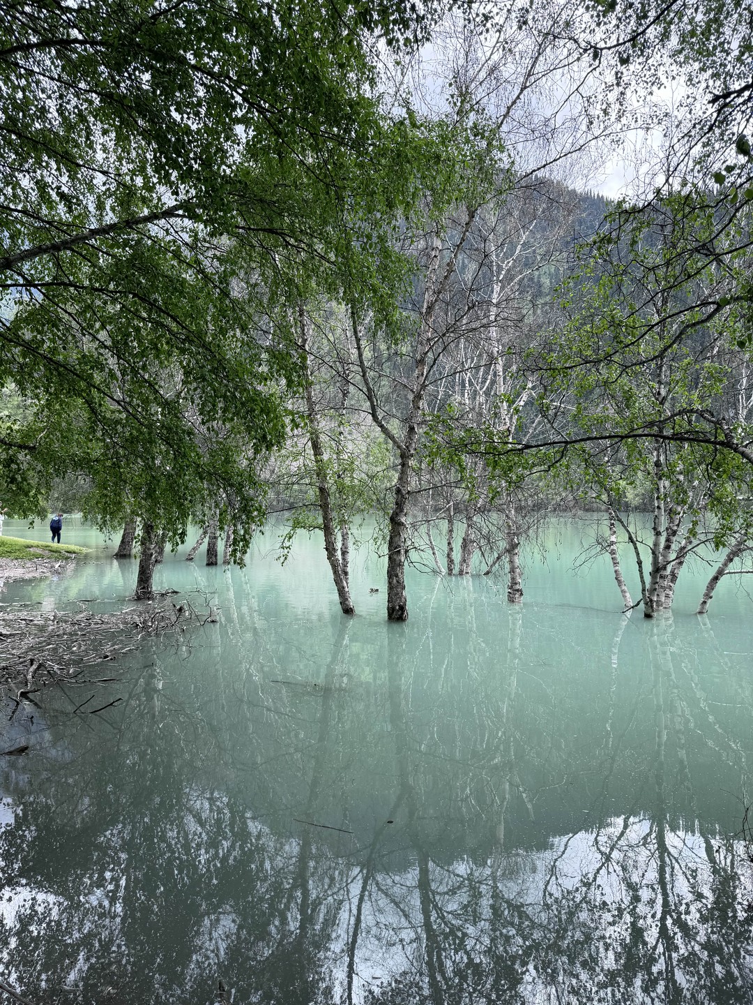 Озеро Иссык и водопад Медвежий тур из Алматы в Тургень (15/17)