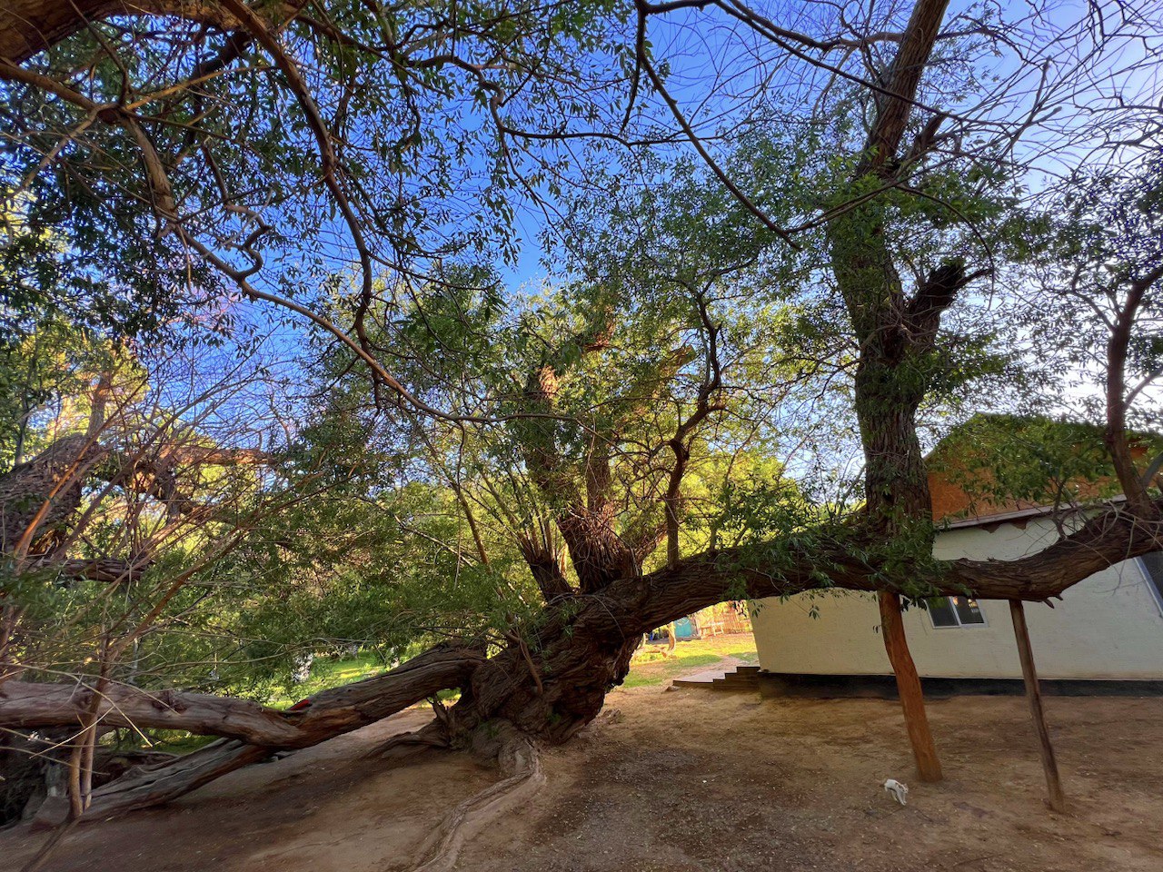 Алтын Эмель: горы Актау и Катытау за 1 день - в индивидуальном формате (14/16)