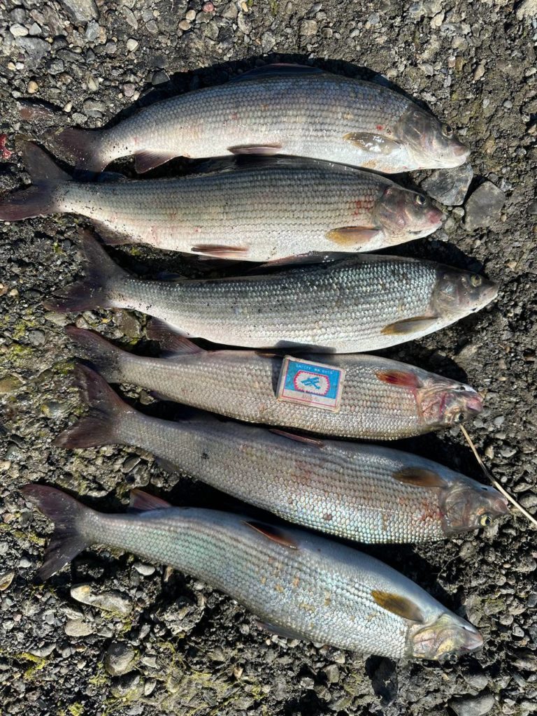 Гранд тур. 10 локаций северных красот (20/34)