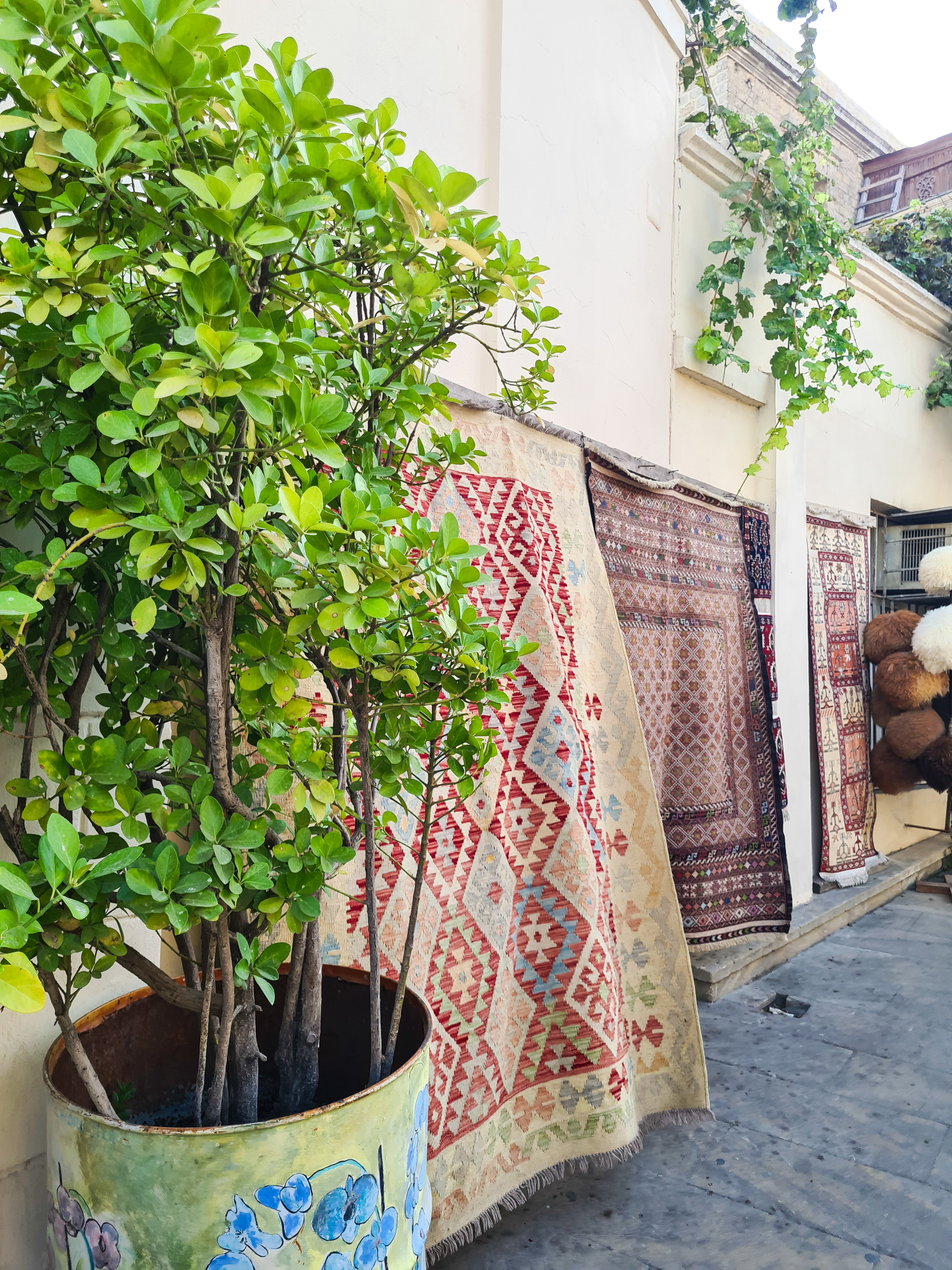 В гостях у Шемаханской Царицы! Красочный Азербайджан! (18/33)