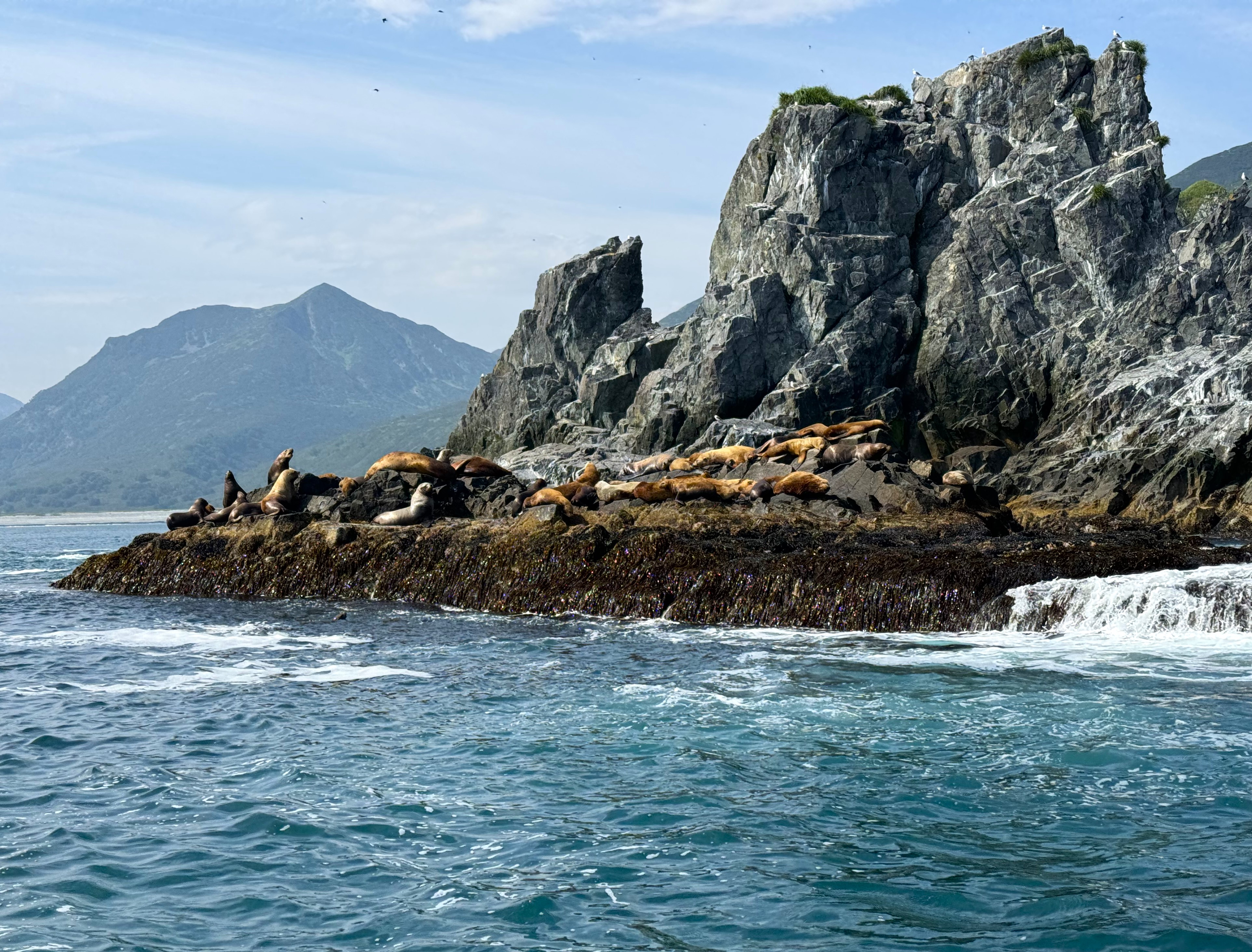 Камчатка: твое яркое знакомство с комфортом - Все включено (8/64)