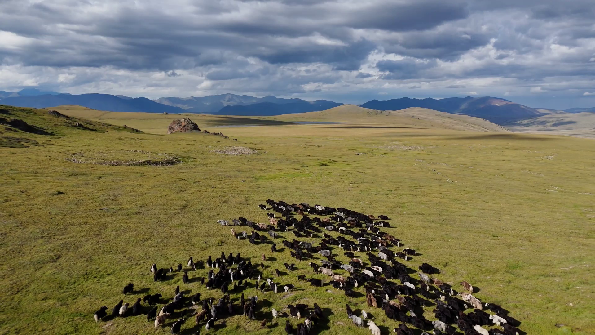 Едем вглубь Алтая. Укок (3/36)