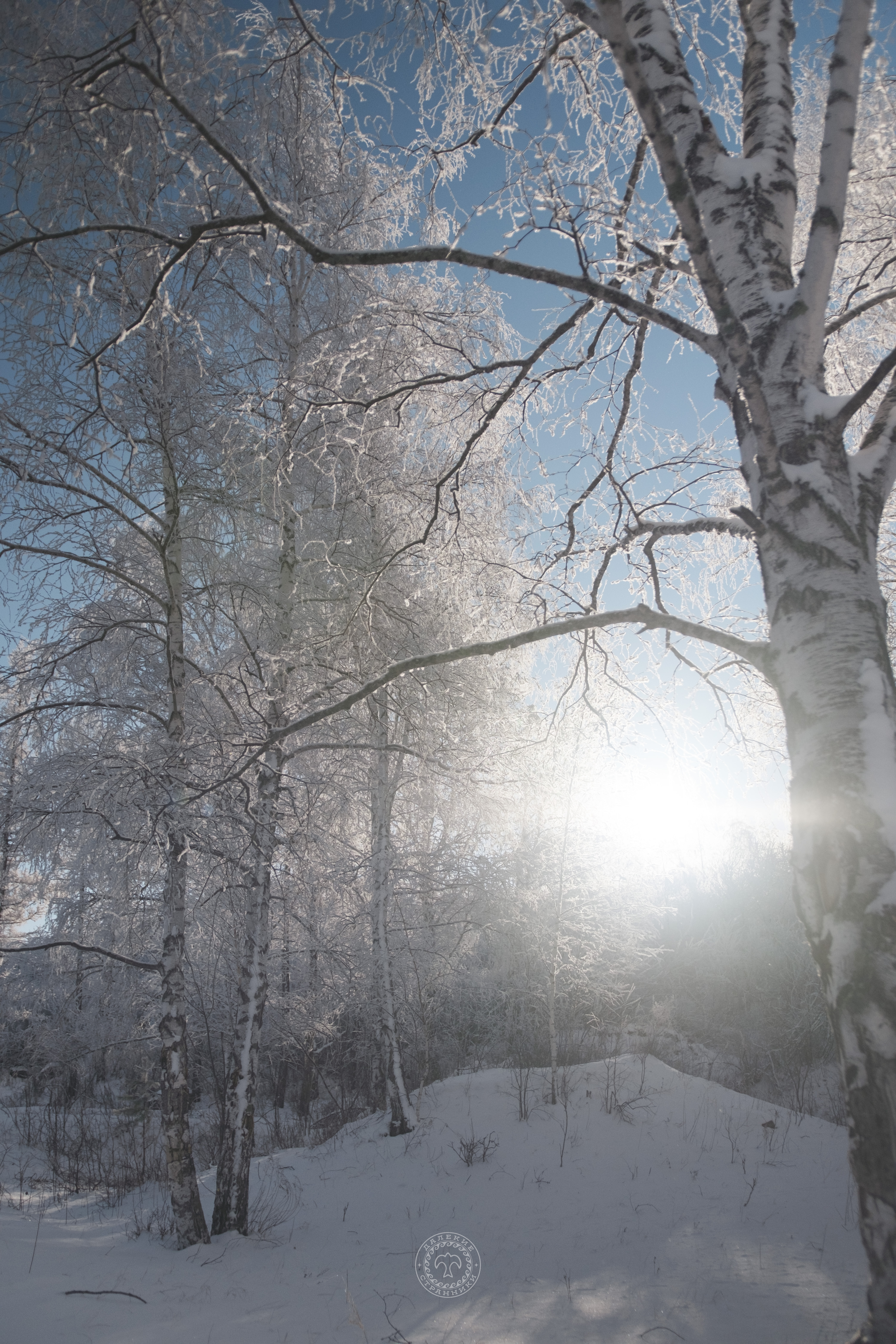 Три Горнолыжки Сибири (3/13)