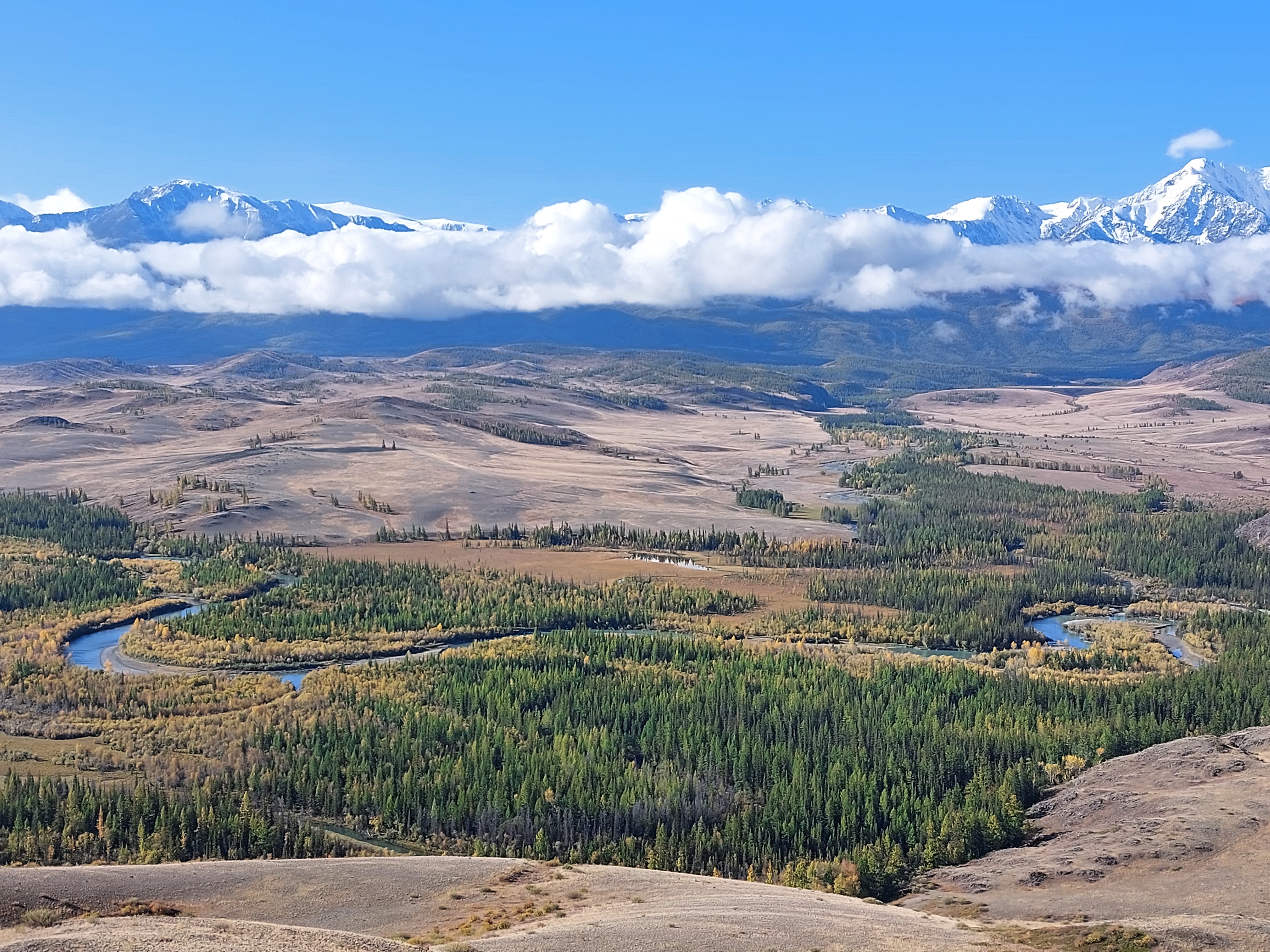 Едем вглубь Алтая. Укок (8/36)