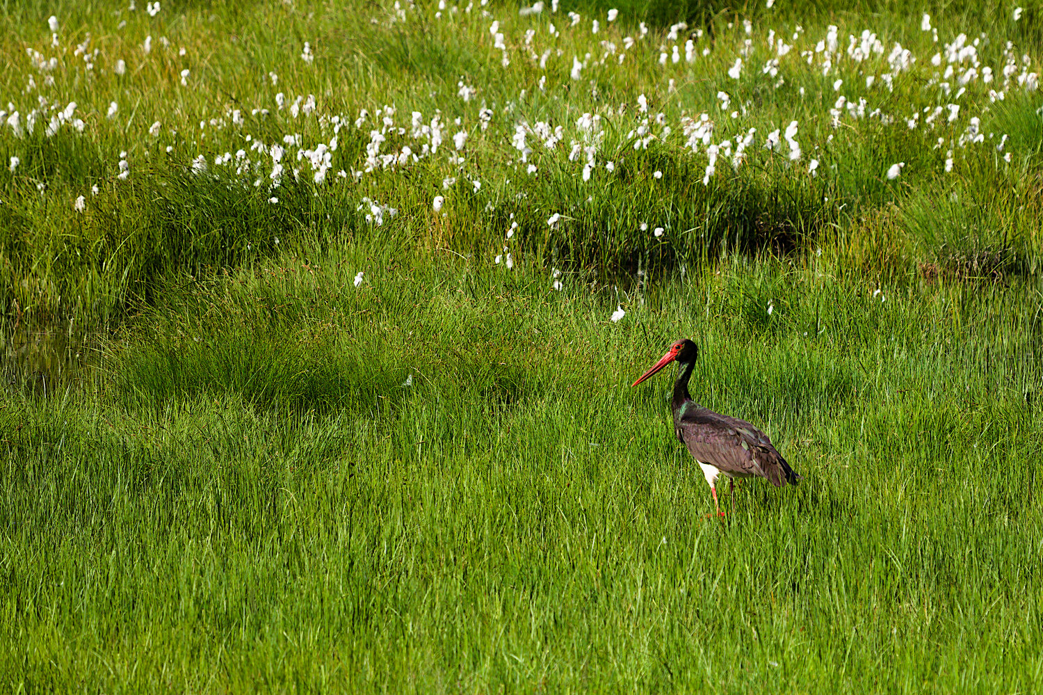 5 тайн Алтая. Тур для любителей неизведанного (16/26)