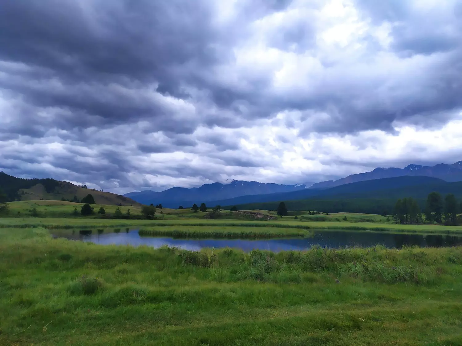На земле снежного барса. Дикий Алтай (12/39)