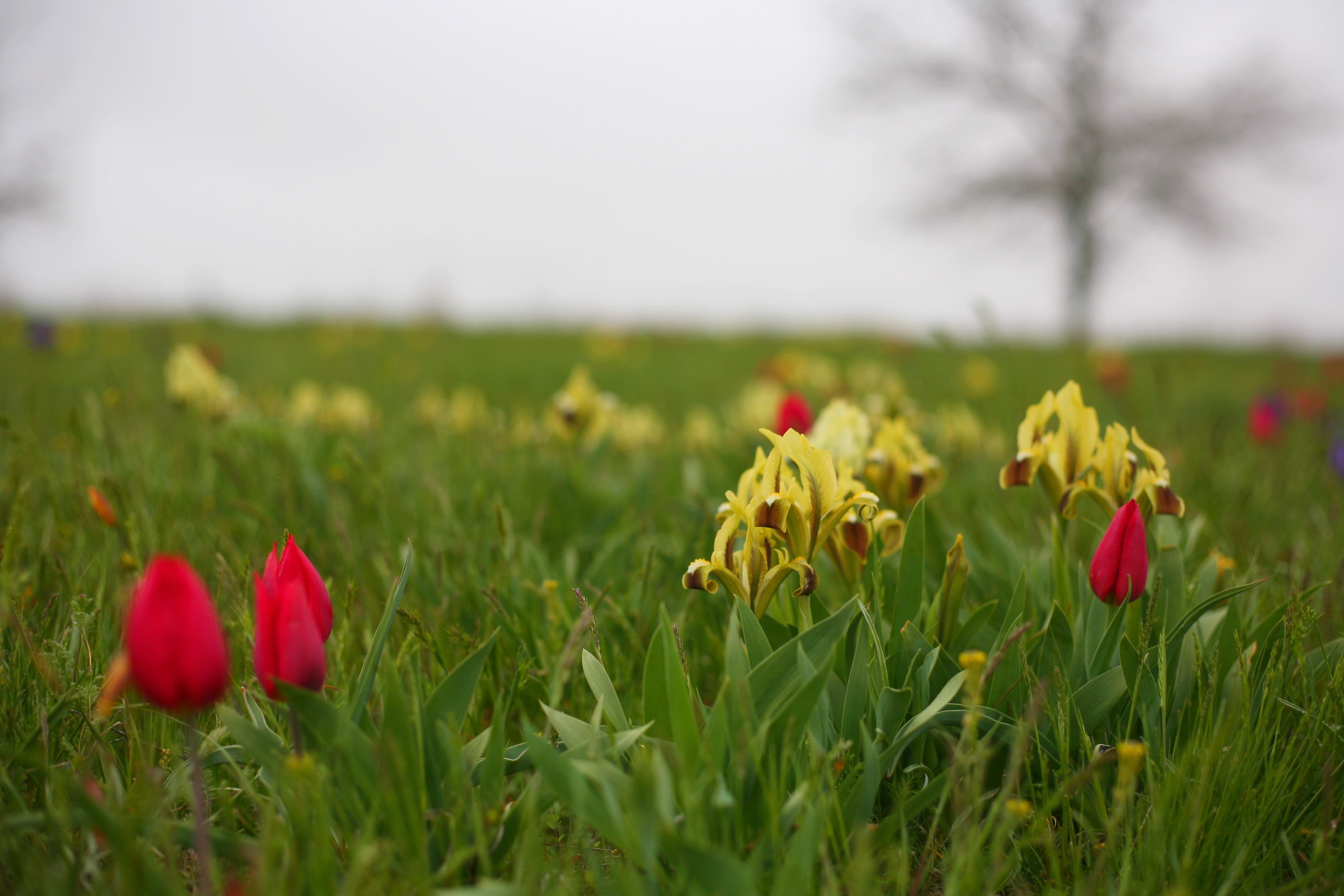 Два степных заповедника и уникальная Калмыкия (40/43)