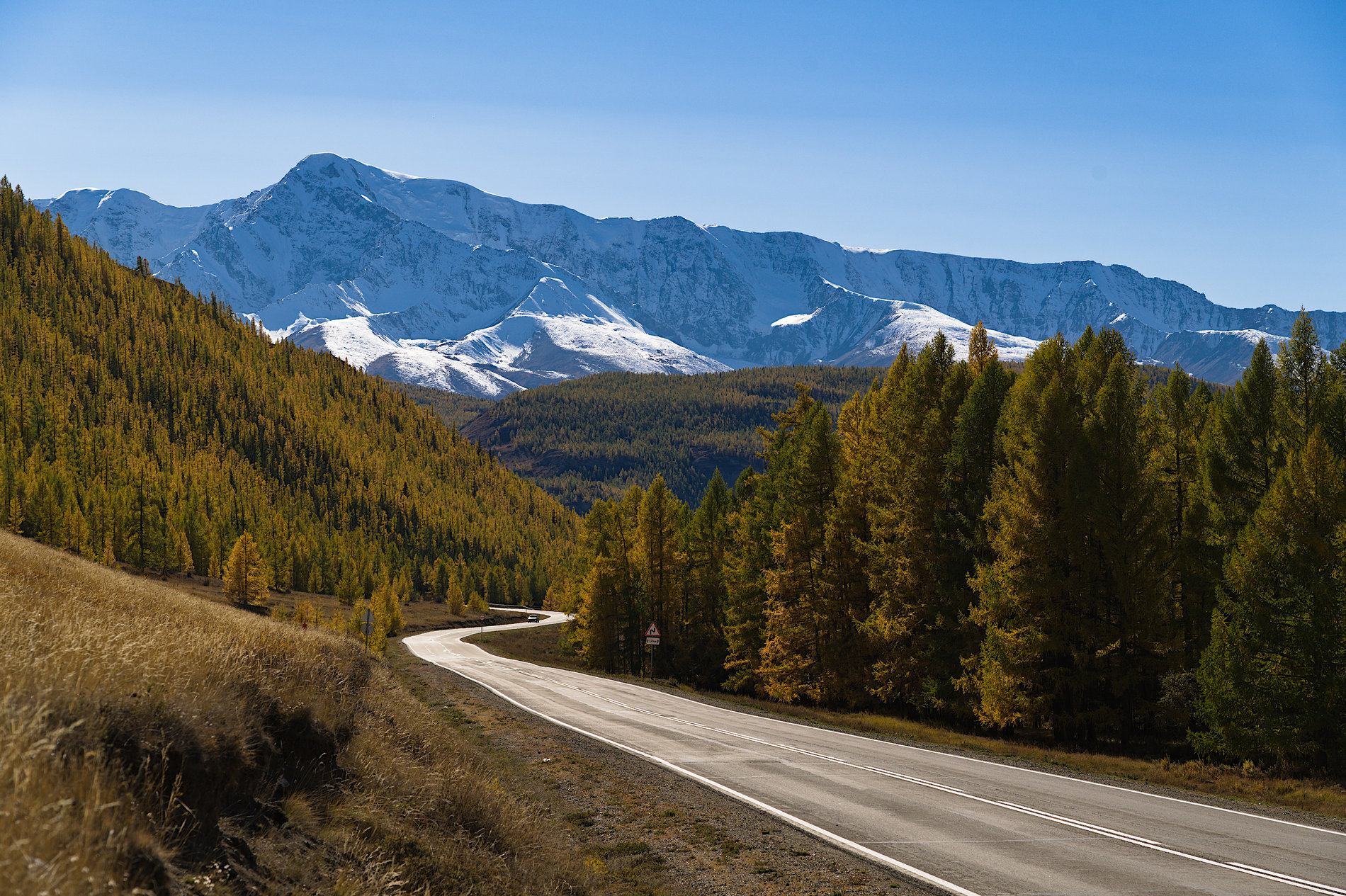 5 тайн Алтая. Тур для любителей неизведанного (19/26)