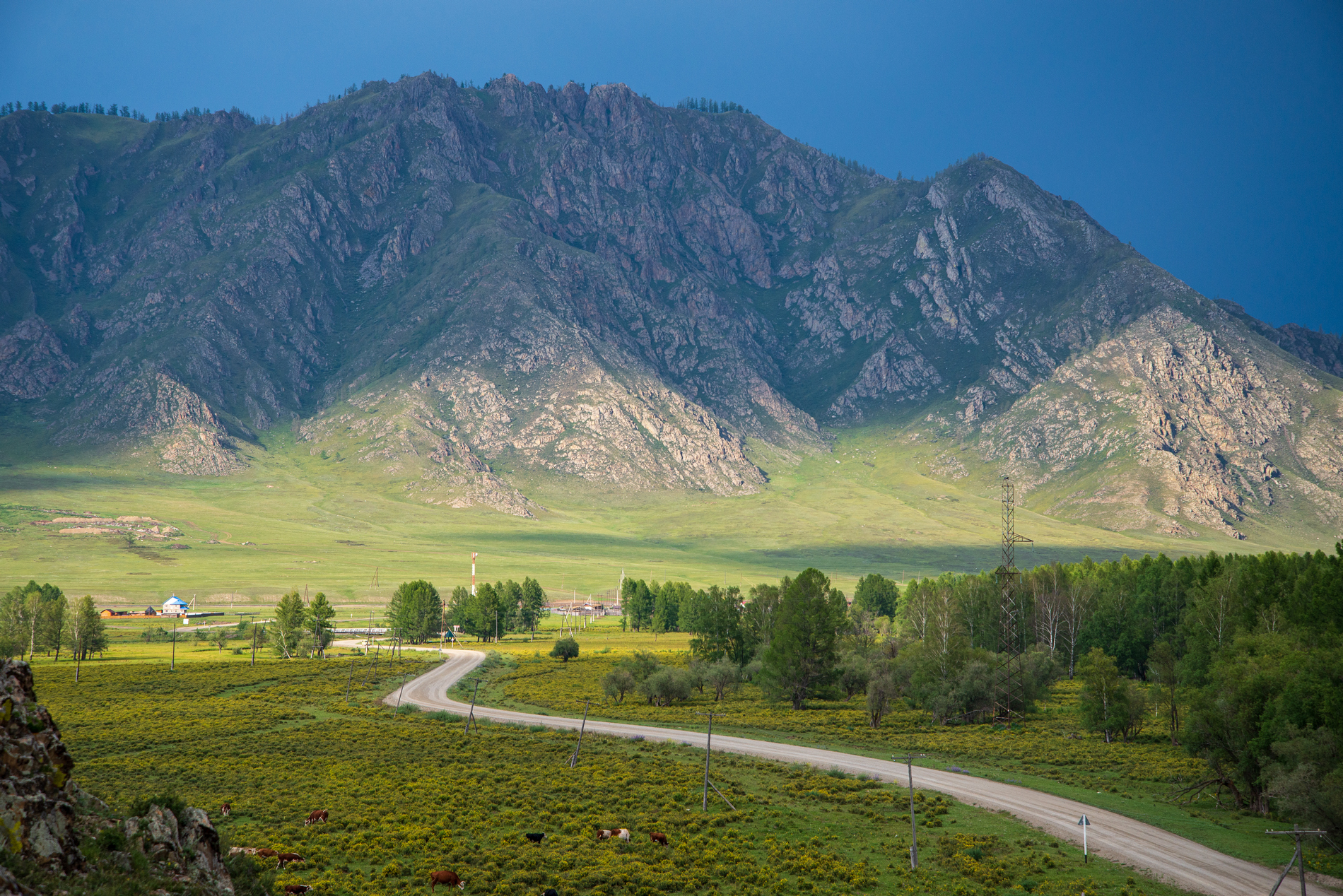 На земле снежного барса. Дикий Алтай (5/39)