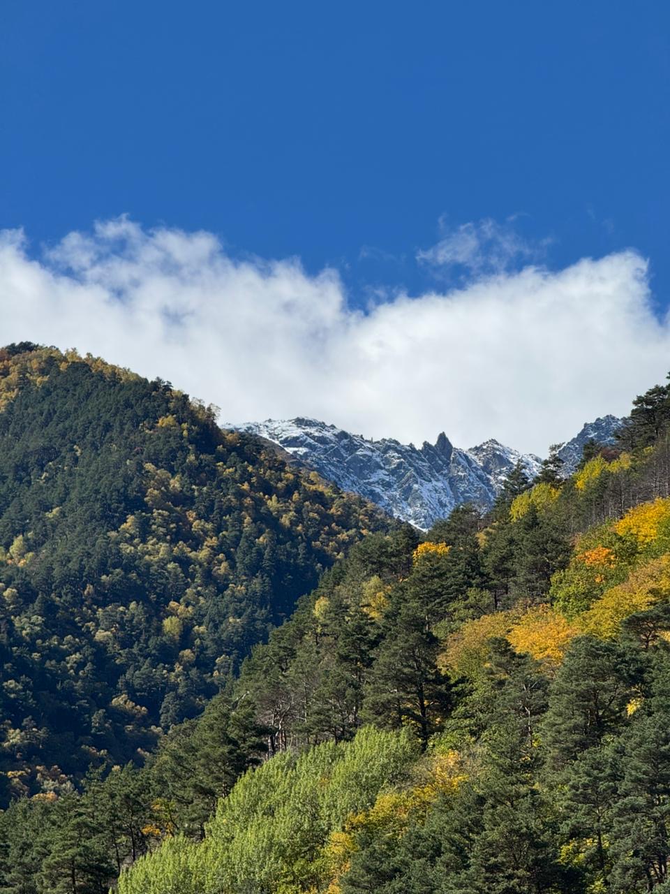 Тур в сердце Осетии. 5 дней. (38/61)