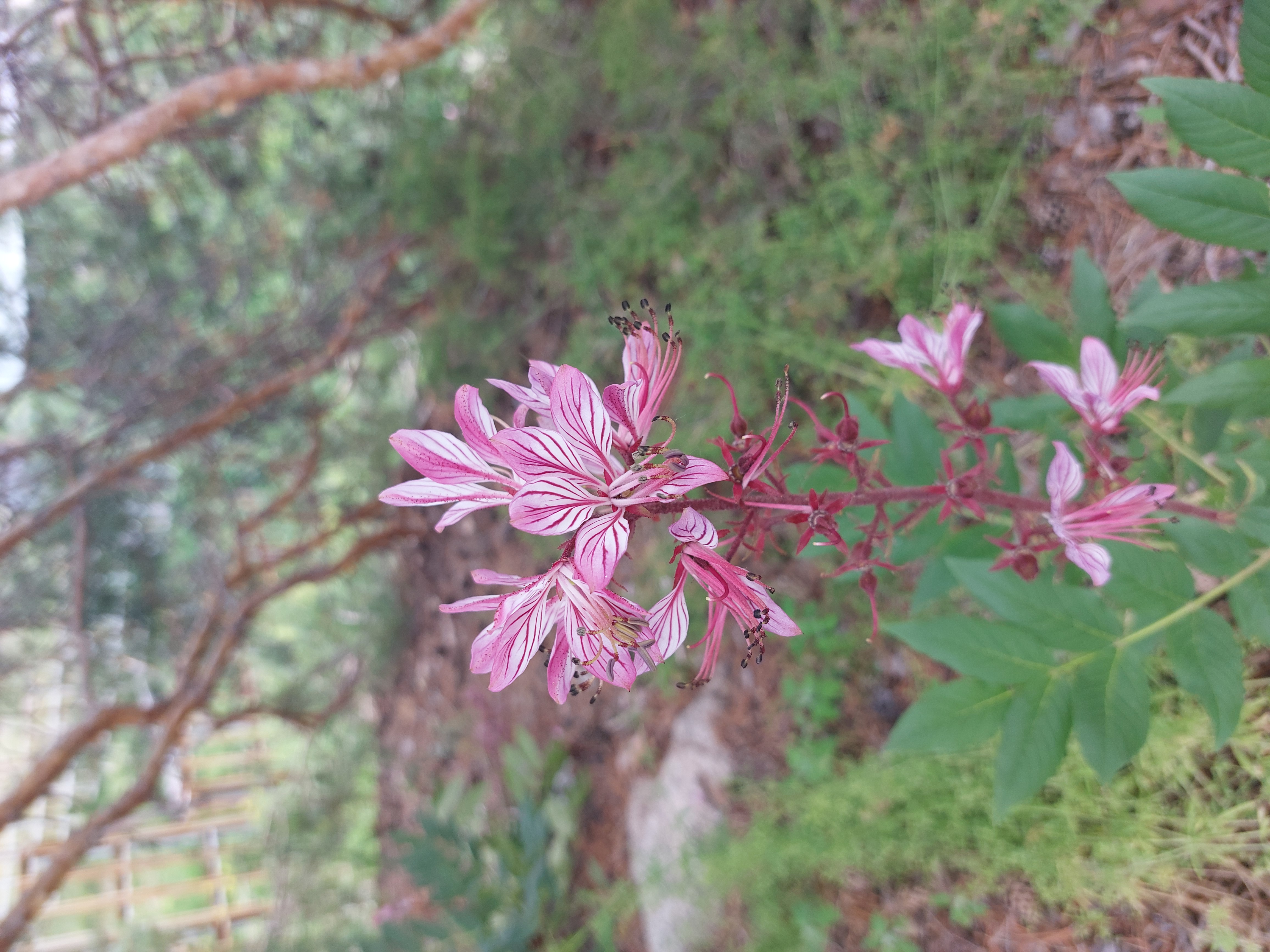 Казахстан. Бухтарминское водохранилище (16/22)