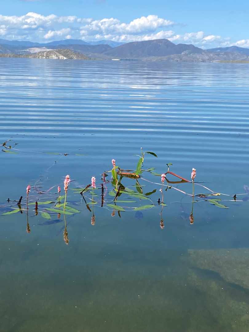 Казахстан. Бухтарминское водохранилище (15/22)