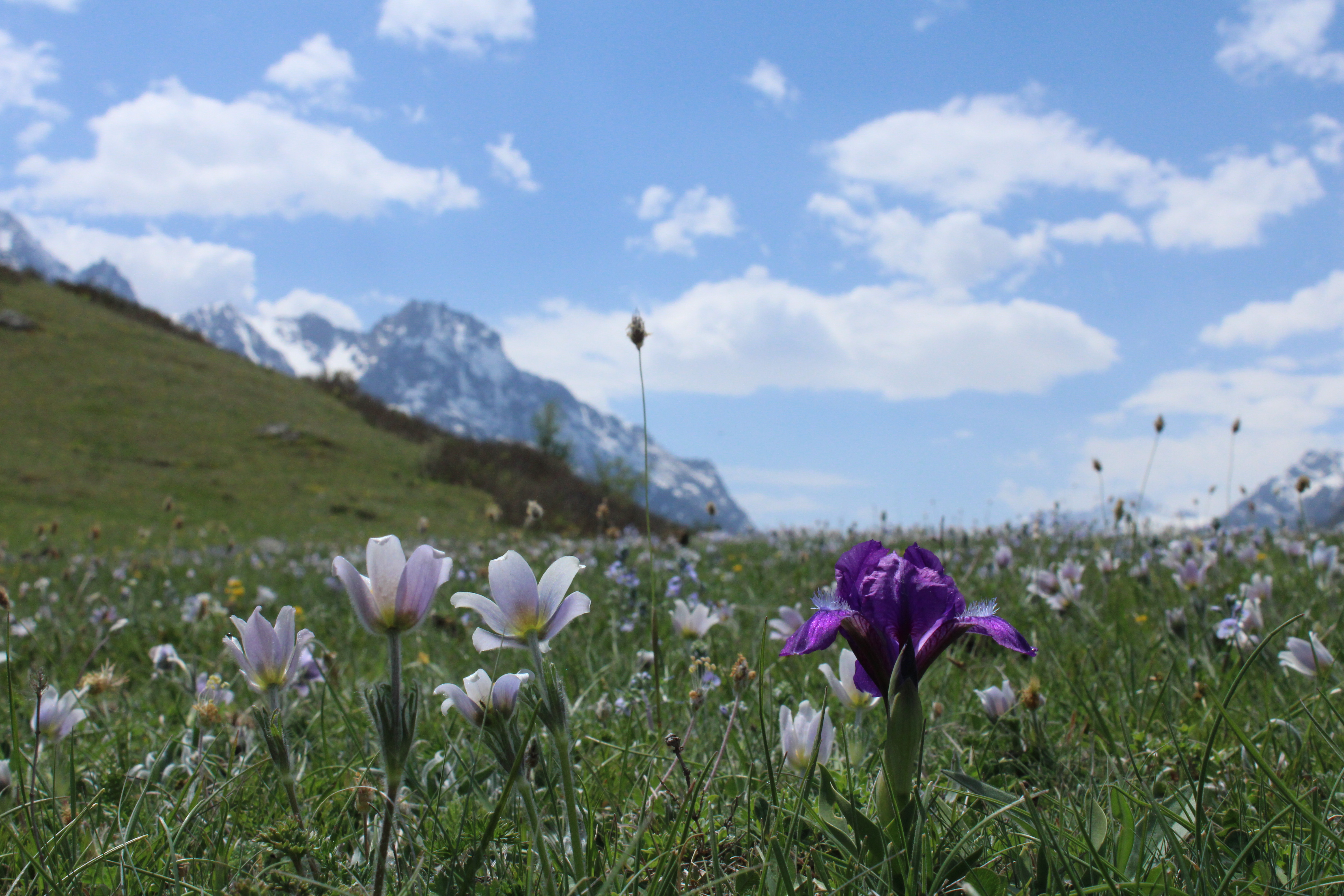 Астропутешествие в горы с телескопом (6/23)