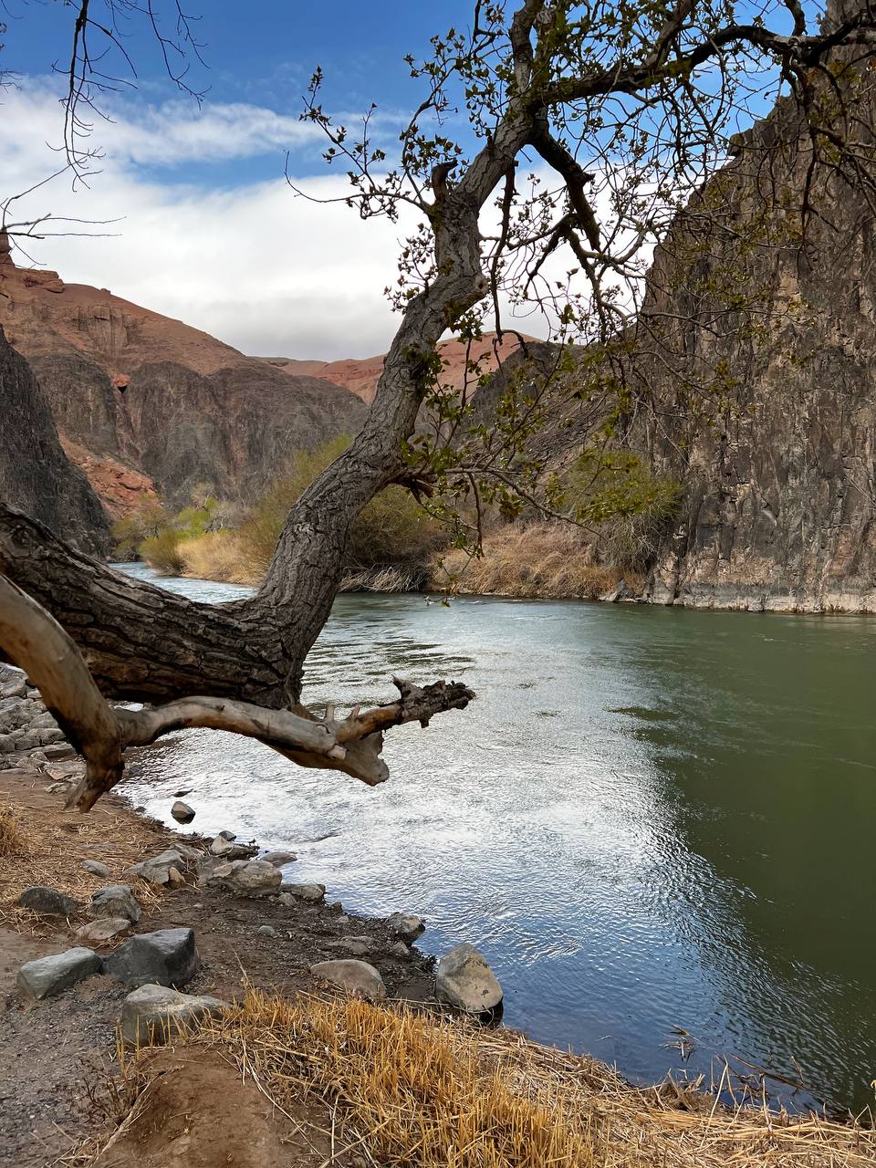 Золотое кольцо Алматы: Озера Каинды и Кольсай, Чарынские каньоны, Алтын Эмель (13/34)