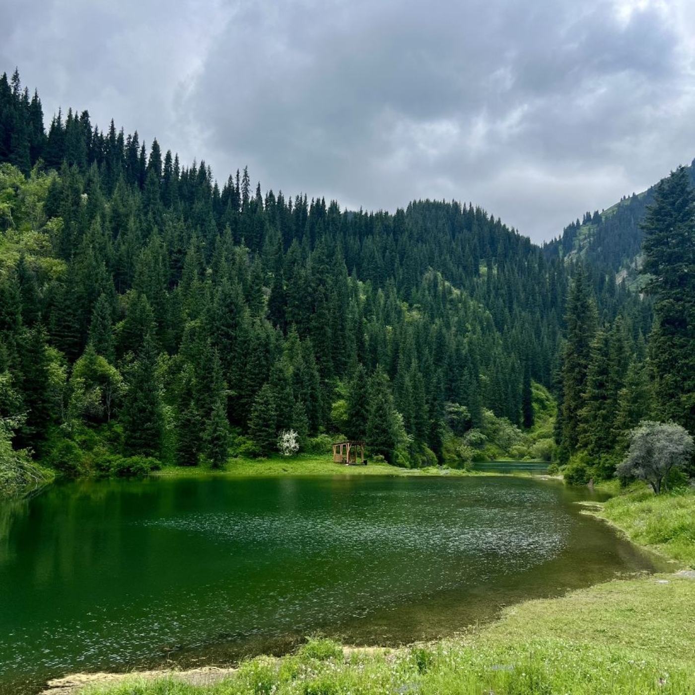Золотое кольцо Алматы: Озера Каинды и Кольсай, Чарынские каньоны, Алтын Эмель (16/34)