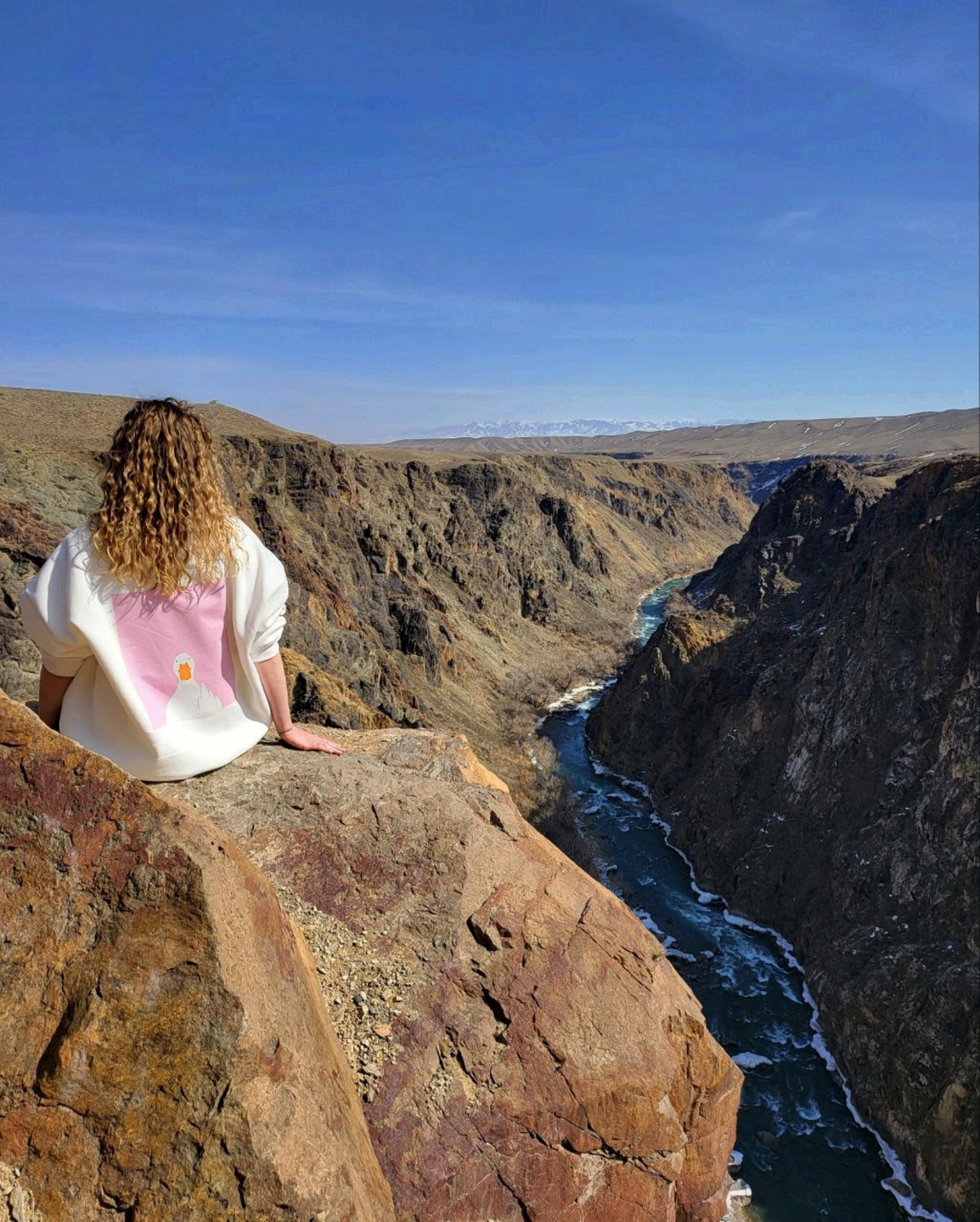 Золотое кольцо Алматы: Озера Каинды и Кольсай, Чарынские каньоны, Алтын Эмель (20/34)