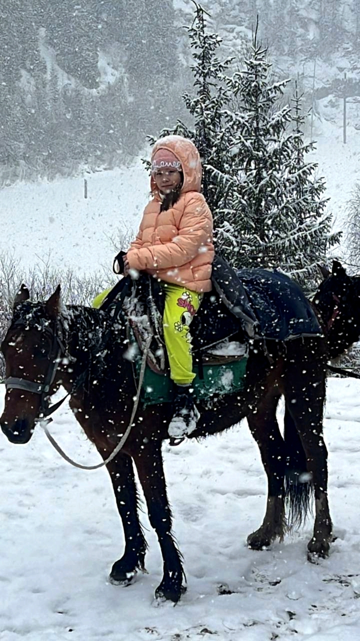 Золотое кольцо Алматы: Озера Каинды и Кольсай, Чарынские каньоны, Алтын Эмель (21/34)