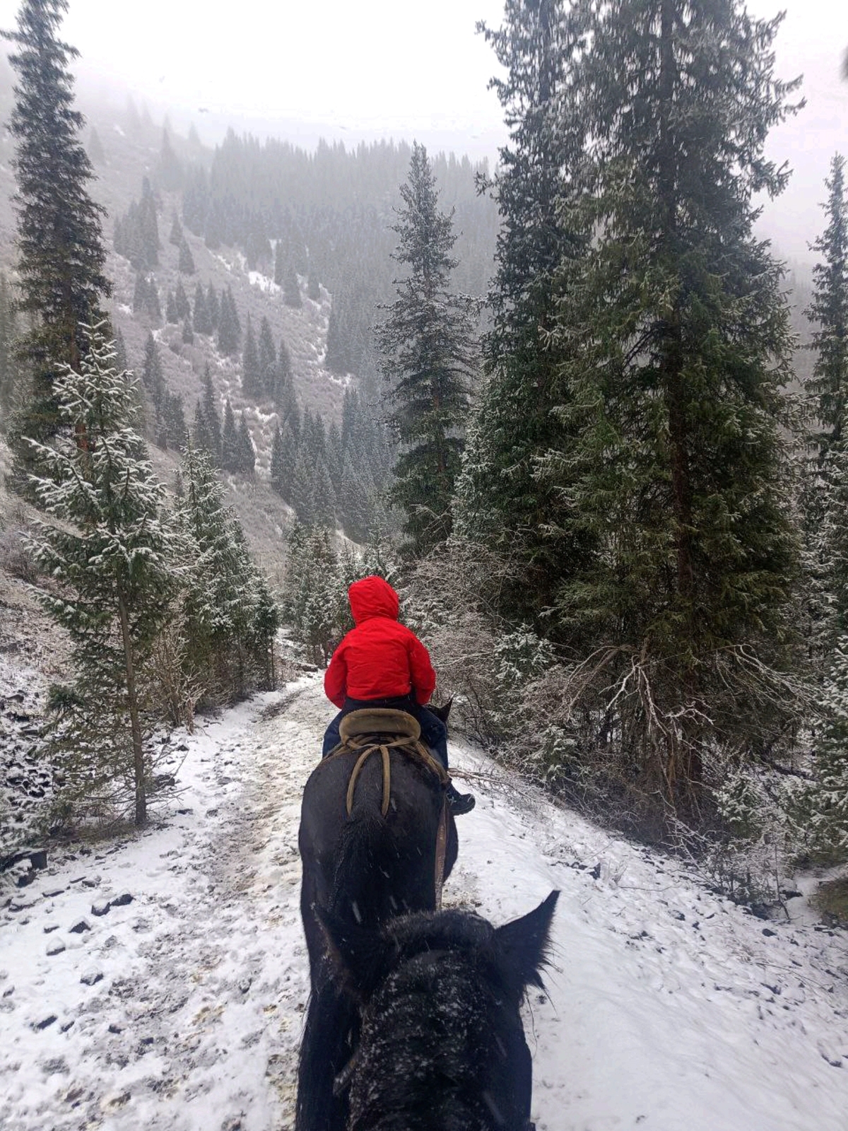 Золотое кольцо Алматы: Озера Каинды и Кольсай, Чарынские каньоны, Алтын Эмель (19/34)
