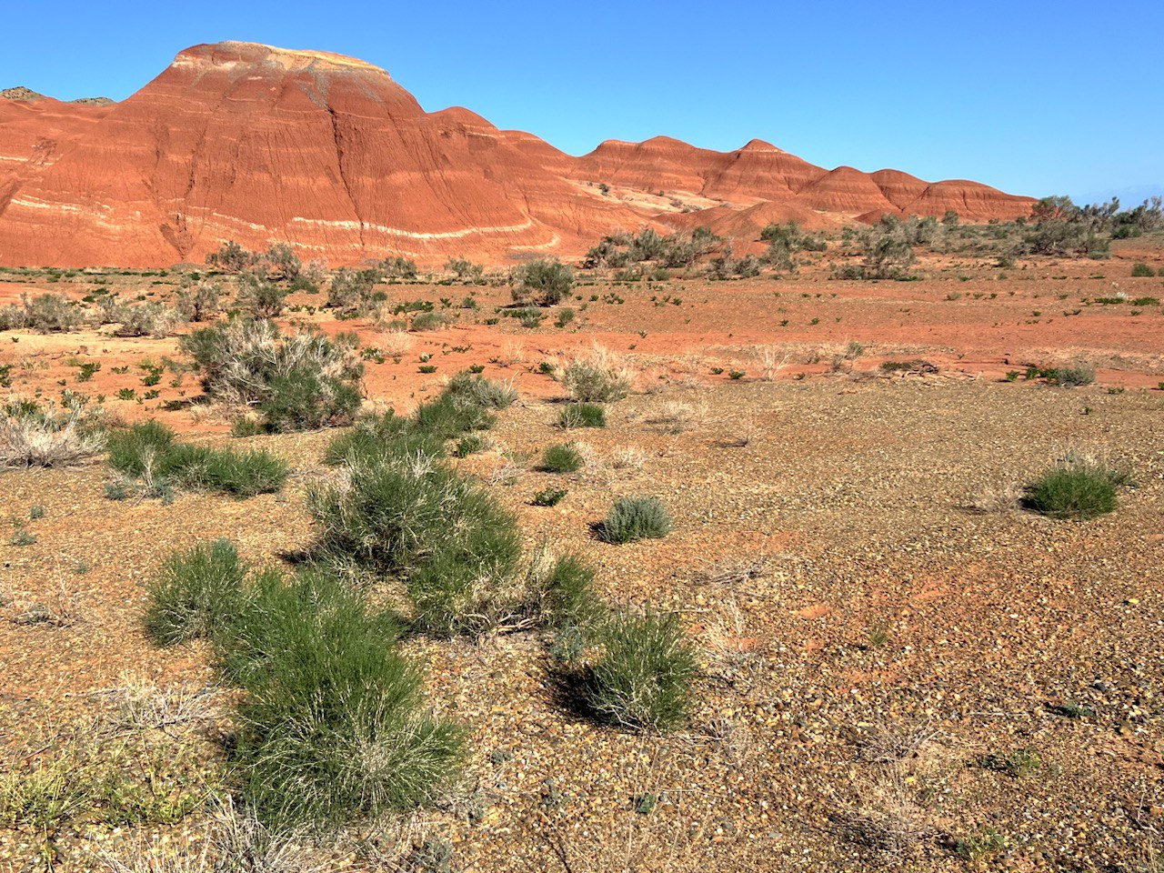 Парк Алтын Эмель - Поющий Бархан, горы Актау и Катутау - все включено (17/18)