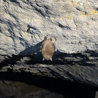 Мультитур Берегами Волги с проживанием в домиках Старица, Тверская область (18/34)