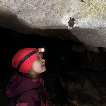 Мультитур Берегами Волги с проживанием в домиках Старица, Тверская область (21/34)