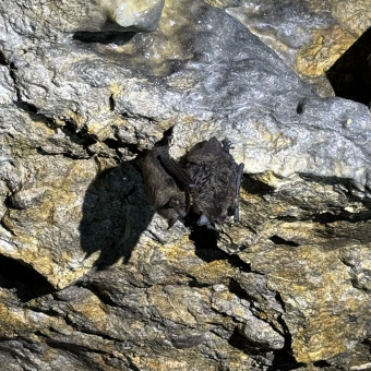 Мультитур Берегами Волги с проживанием в домиках Старица, Тверская область (19/34)