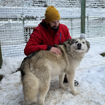 Мультитур Берегами Волги с проживанием в домиках Старица, Тверская область (17/34)