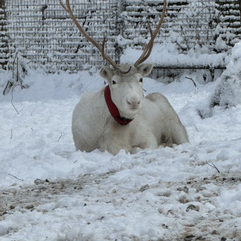 Мультитур Берегами Волги с проживанием в домиках Старица, Тверская область (11/34)
