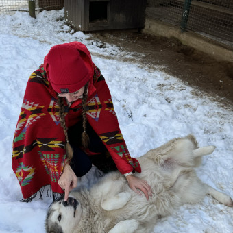 Мультитур Берегами Волги с проживанием в домиках Старица, Тверская область (15/34)