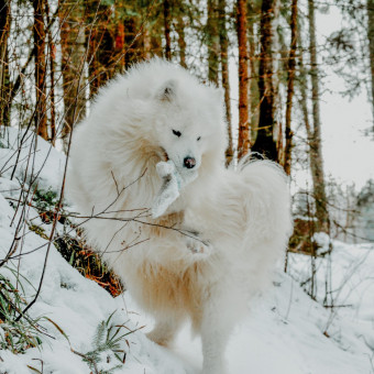 Мультитур Берегами Волги с проживанием в домиках Старица, Тверская область (30/34)