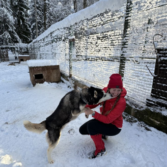 Мультитур Берегами Волги с проживанием в домиках Старица, Тверская область (12/34)