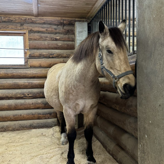 Мультитур Берегами Волги с проживанием в домиках Старица, Тверская область (8/34)