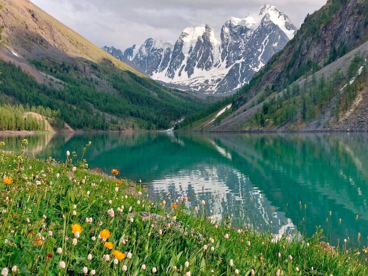 Шавлинское зазеркалье, пеший поход с вьючными лошадьми. (37/76)