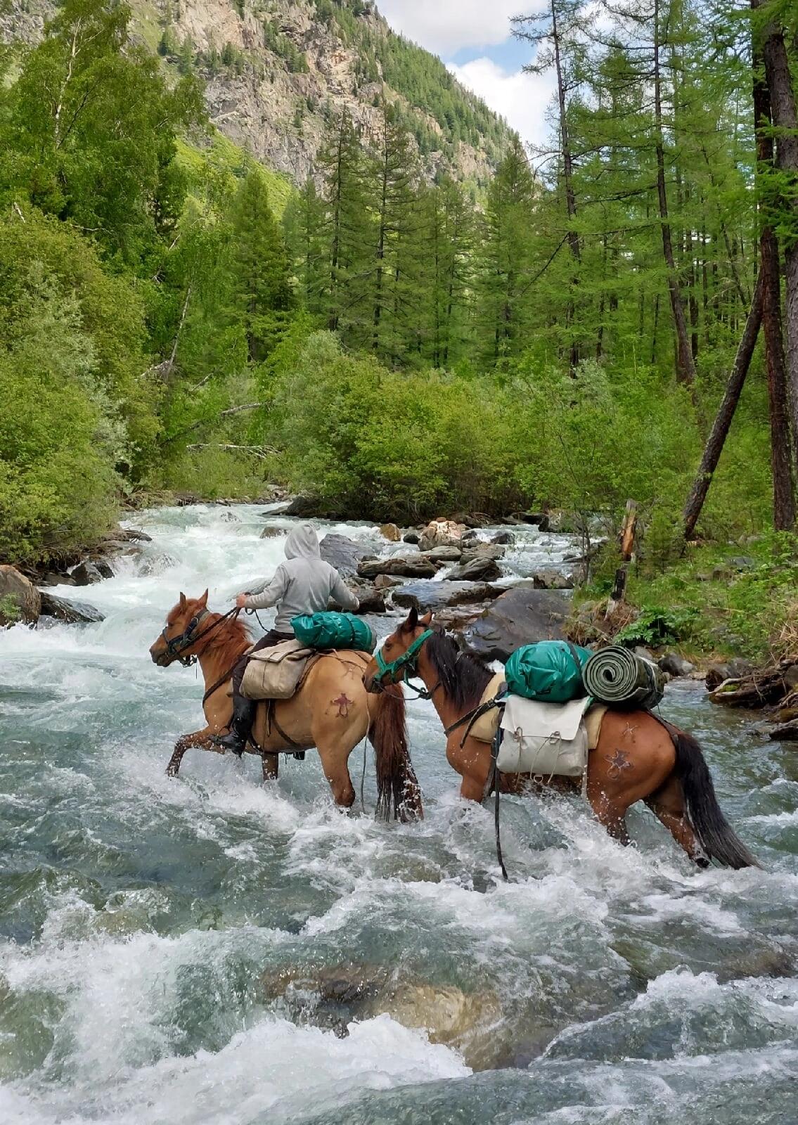 Шавлинское зазеркалье, пеший поход с вьючными лошадьми. (40/76)