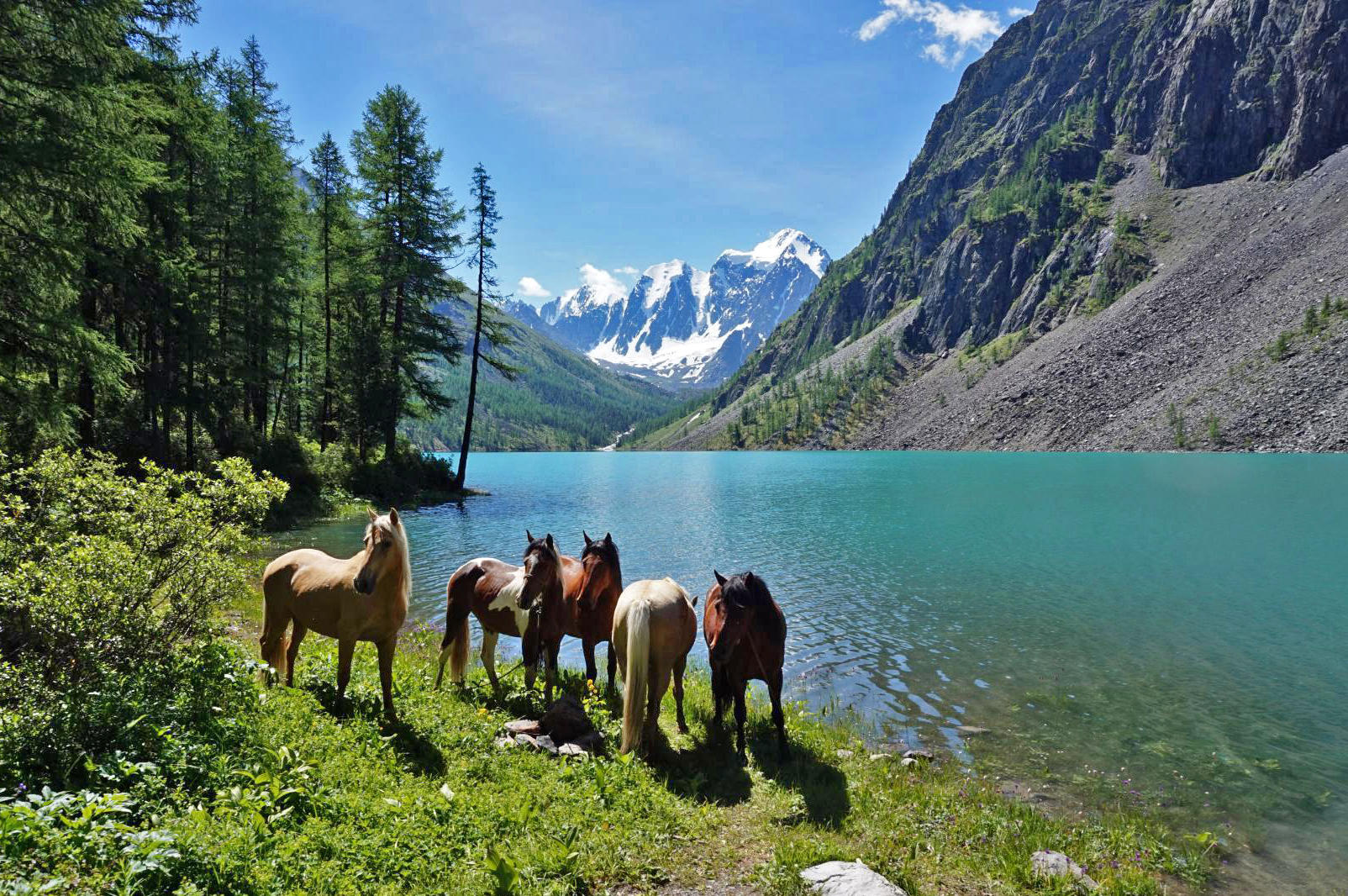 Шавлинское зазеркалье, пеший поход с вьючными лошадьми. (41/76)
