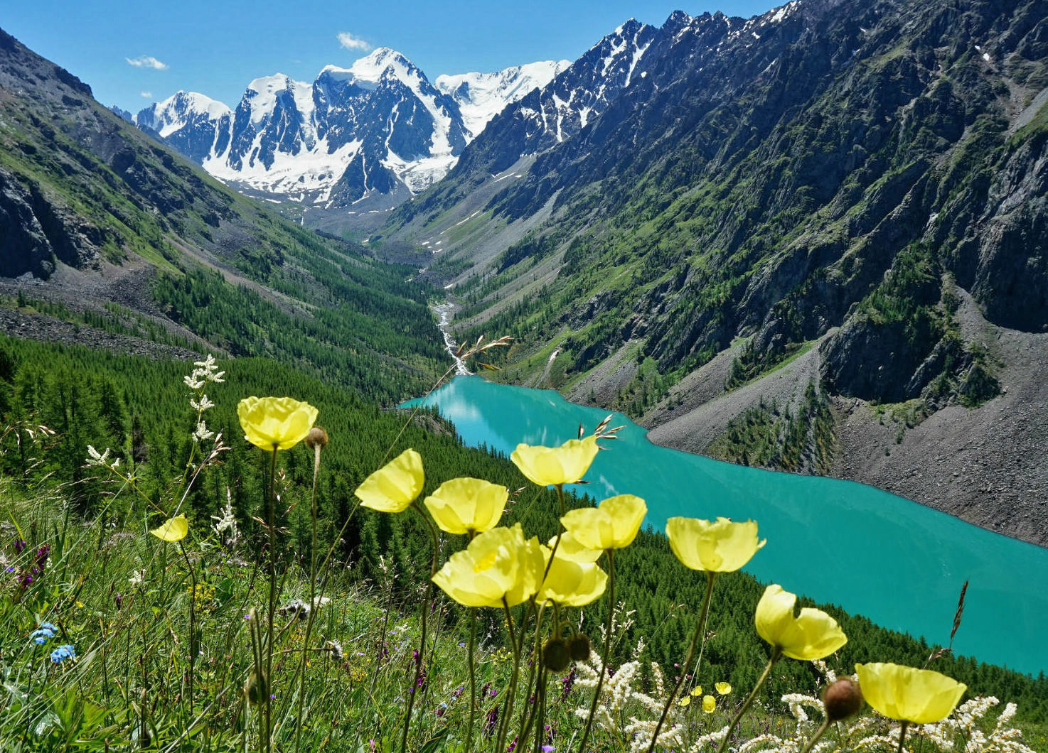 Шавлинское зазеркалье, пеший поход с вьючными лошадьми. (46/86)