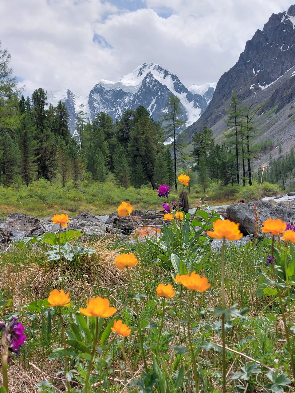 Шавлинское зазеркалье, пеший поход с вьючными лошадьми. (38/76)