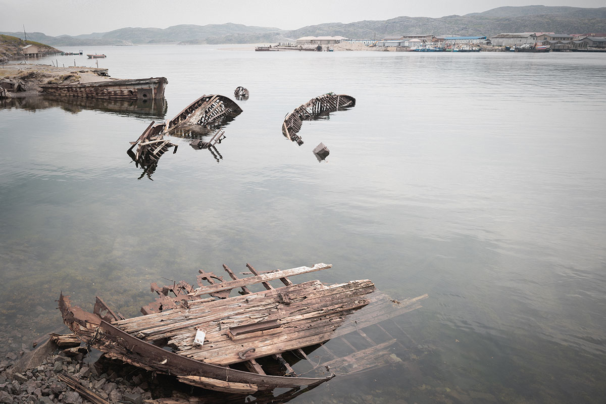 Териберка: киты на Баренцевом море (25/42)