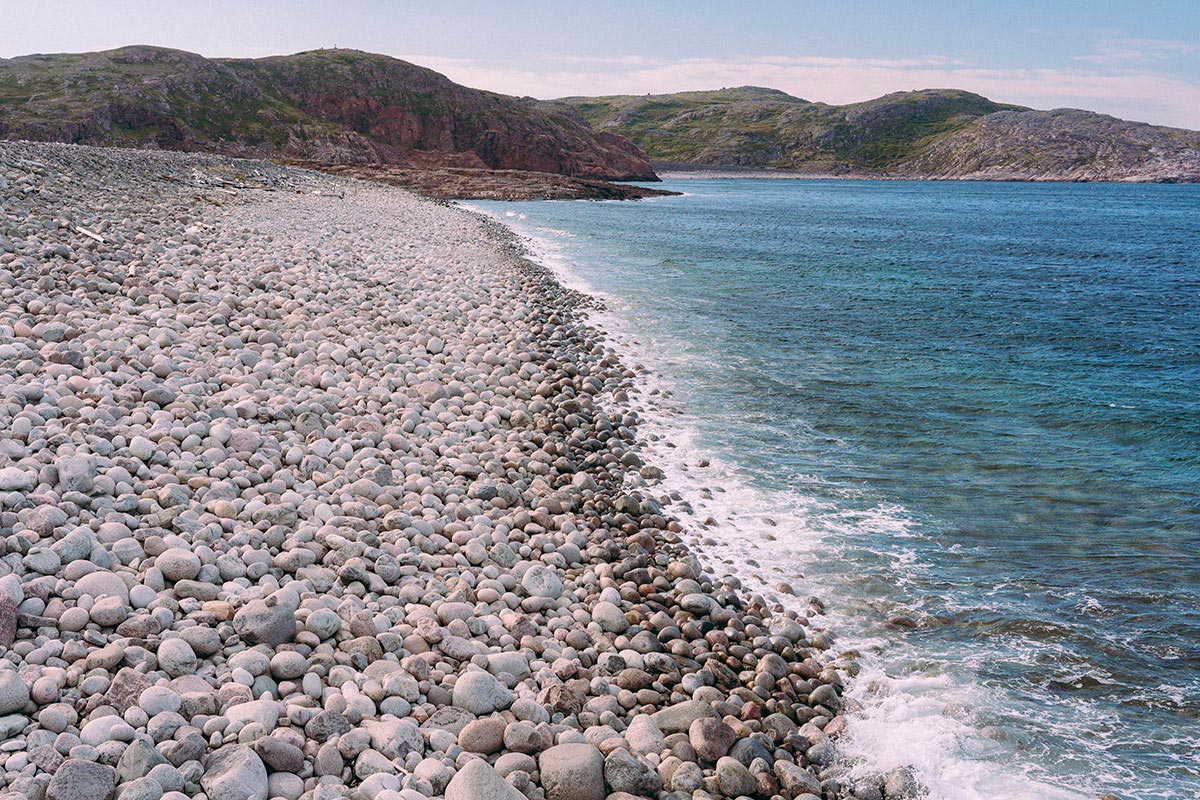 Териберка: киты на Баренцевом море (32/42)