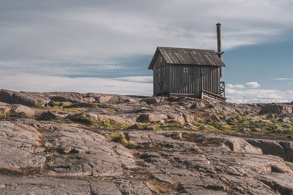 Териберка: киты на Баренцевом море (30/42)