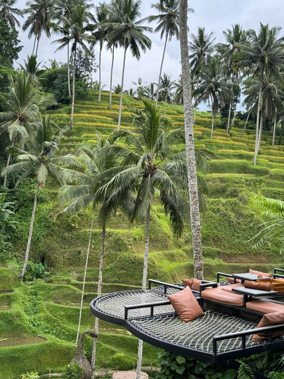 5 островов Индонезии (Бали, Нуса Пенида, Ява, Флорес, Комодо) 13 дней (73/122)