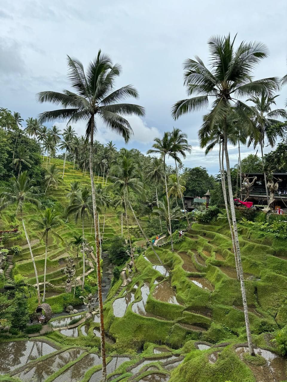 5 островов Индонезии (Бали, Нуса Пенида, Ява, Флорес, Комодо) 13 дней (75/122)