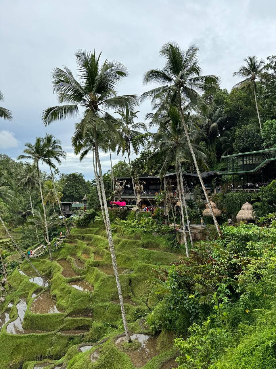 5 островов Индонезии (Бали, Нуса Пенида, Ява, Флорес, Комодо) 13 дней (77/122)