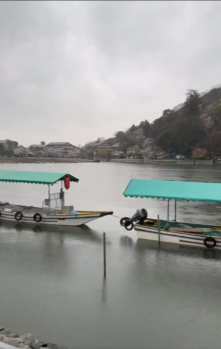 Япония. Красные клены (34/48)