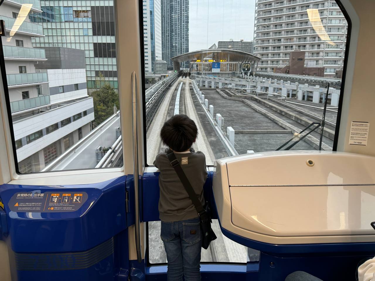 Япония. Красные клены (40/48)