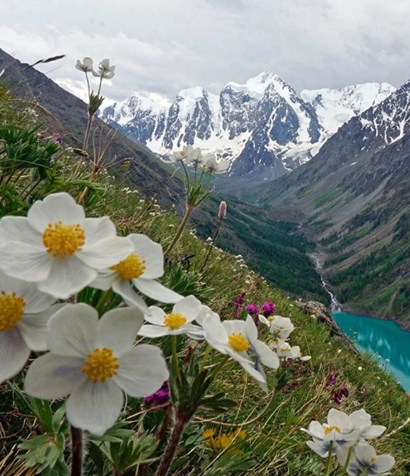 Шавлинское зазеркалье, пеший поход с вьючными лошадьми. (46/76)