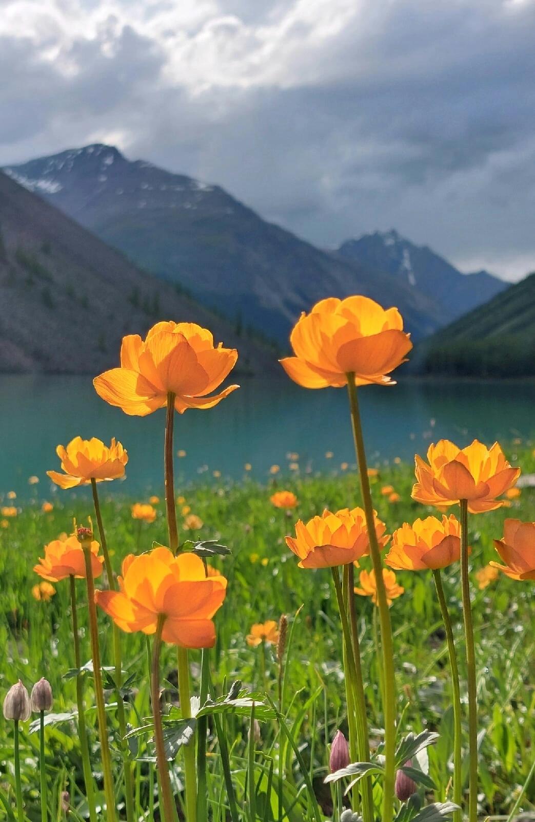 Шавлинское зазеркалье, пеший поход с вьючными лошадьми. (47/76)