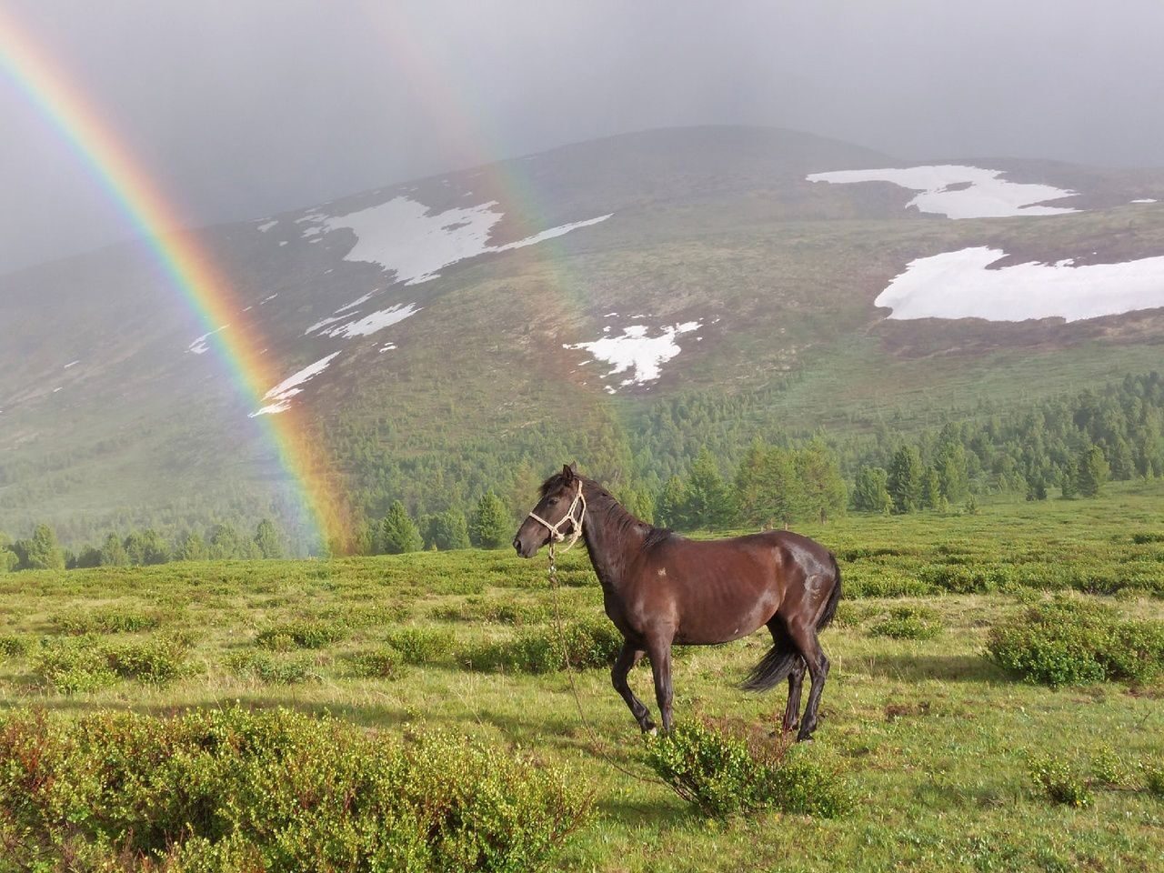 Шавлинское зазеркалье, пеший поход с вьючными лошадьми. (51/86)