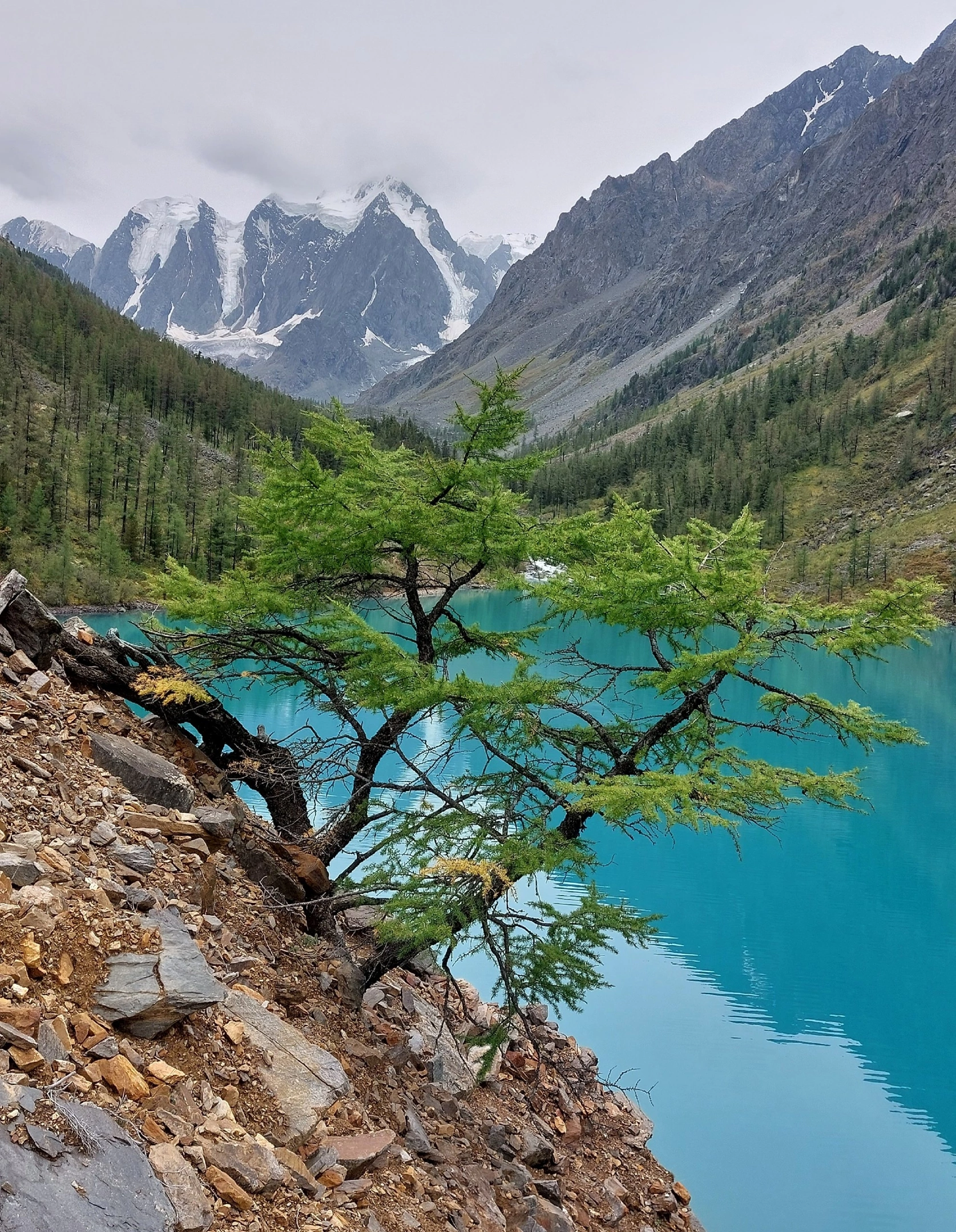 Шавлинское зазеркалье, пеший поход с вьючными лошадьми. (56/76)