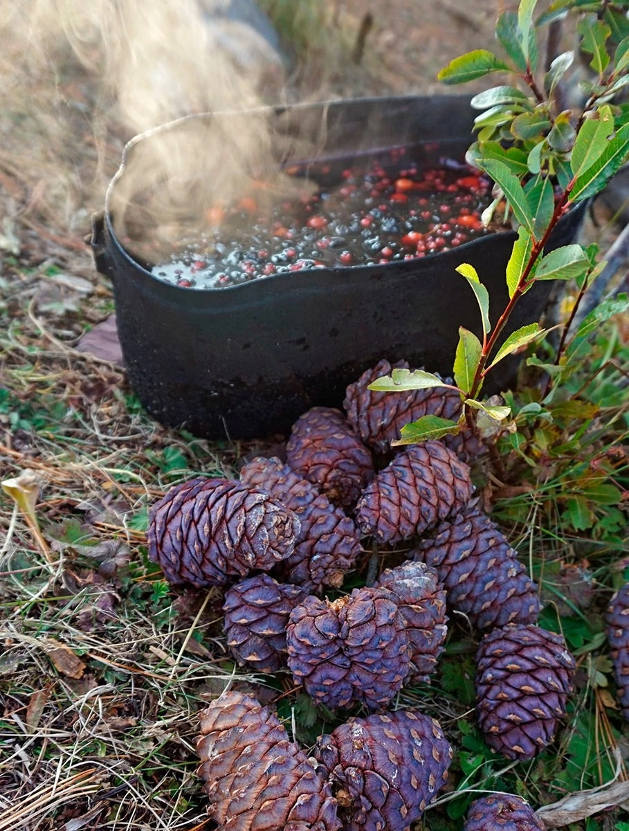 Шавлинское зазеркалье, пеший поход с вьючными лошадьми. (51/76)